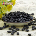 Dried black kidney bean colour